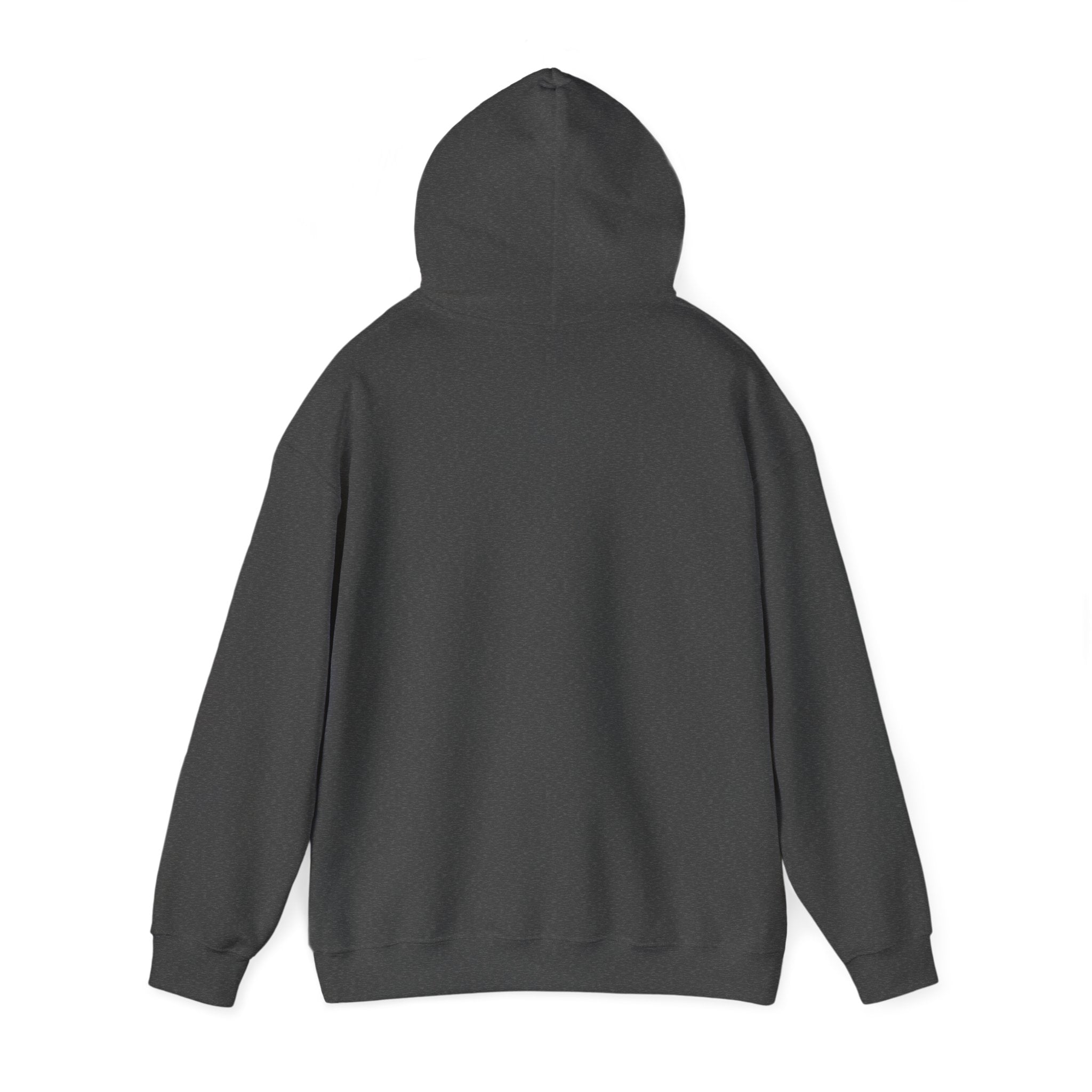 IDC Logo Hoodie